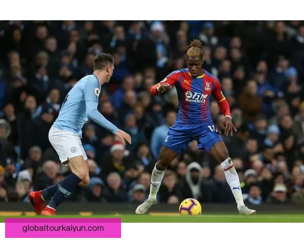 水晶宫转会策略分析与未来趋势探讨